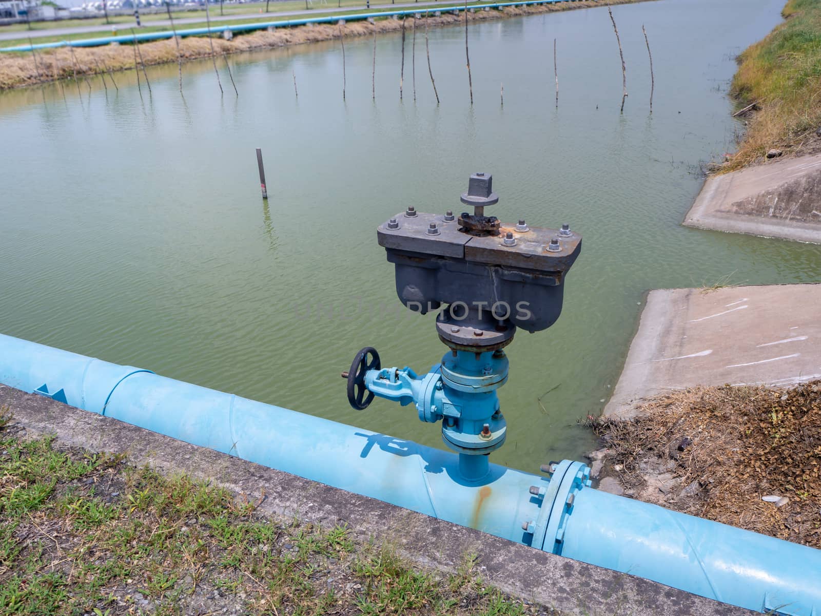 the Control knobs for big water blue pipes