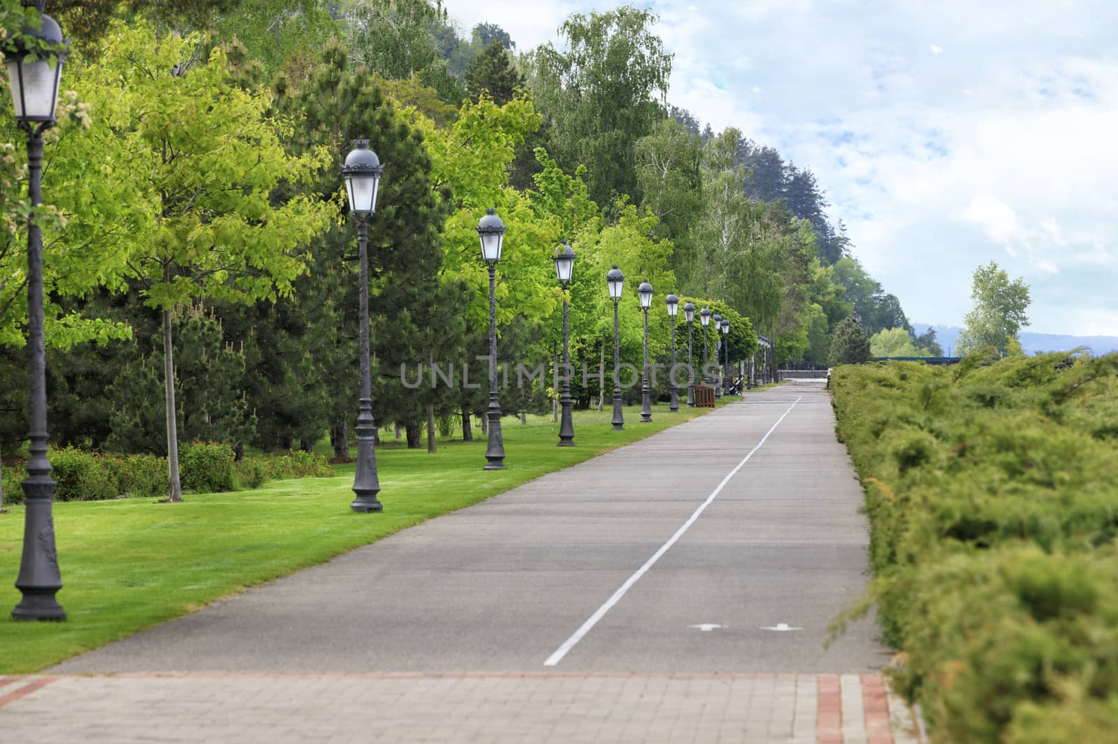 Straight asphalt road and bike path through the park with many beautiful vertical vintage lights by Sergii