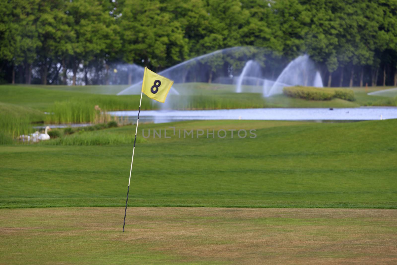 Flag in the wind, a lake and watering systemas a backgroundon a beautiful golf course in a luxurious Ukrainian resort.