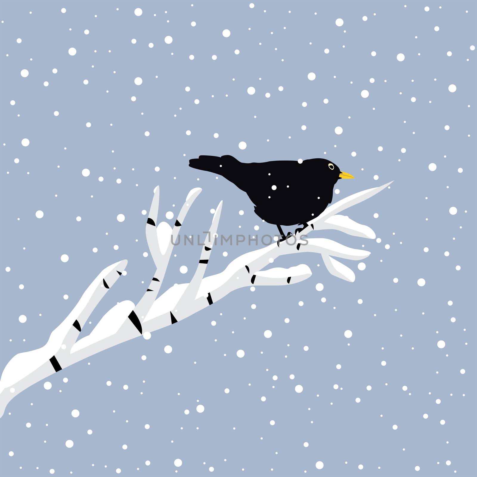 Black bird on the branch at winter by hibrida13