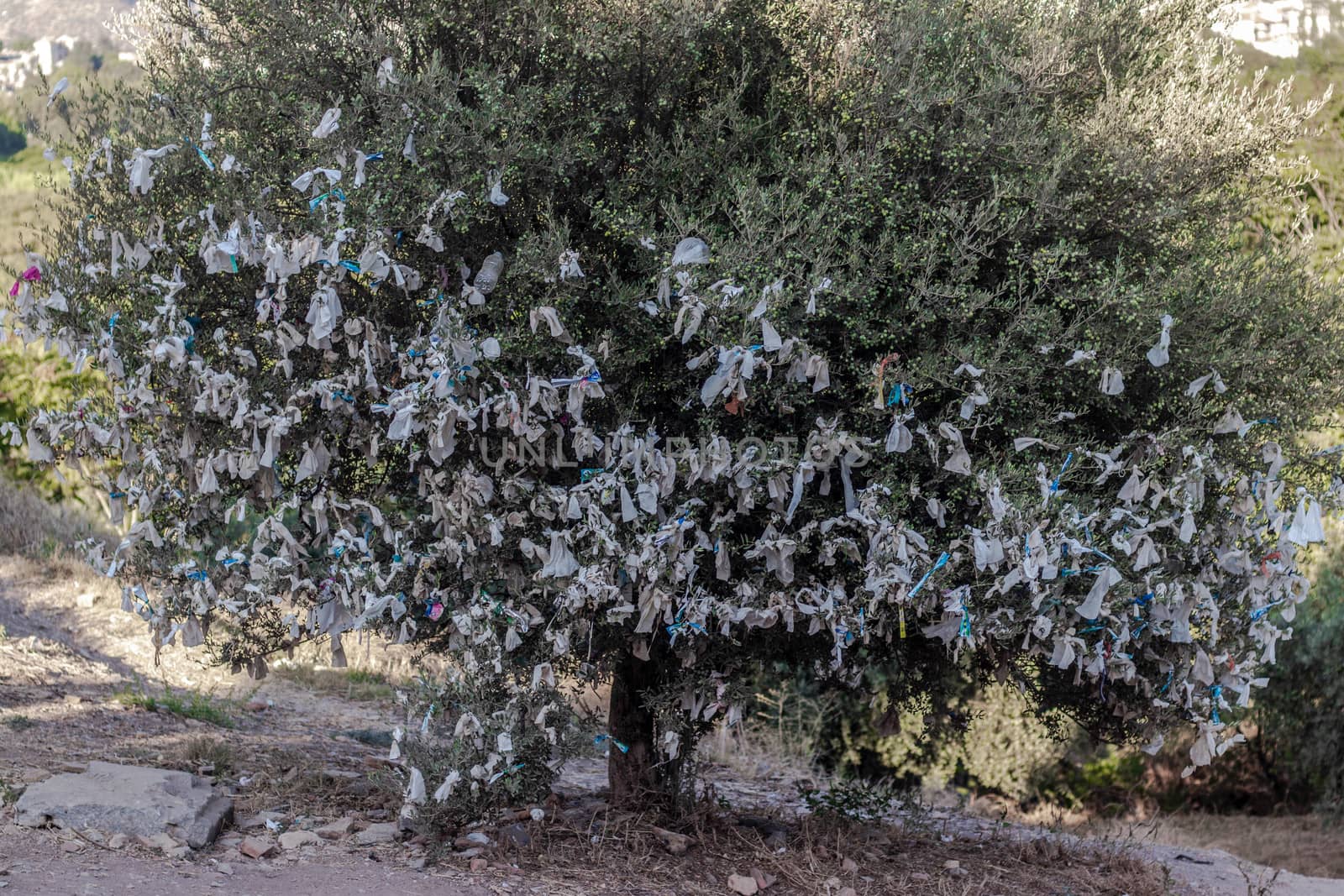 a good looking wide shoot from wish tree which placed top of mountain at sirince. photo has taken at izmir/turkey.