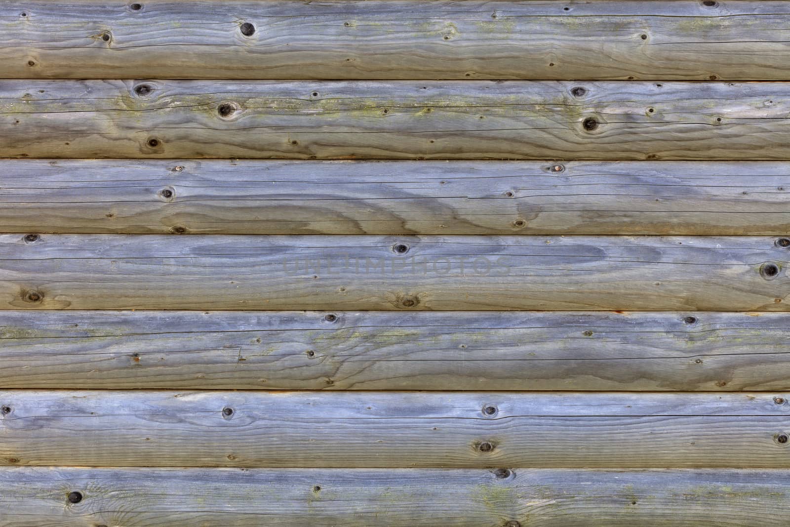 The gray logs of the wooden wall are folded horizontally. Texture of an old tree close-up.