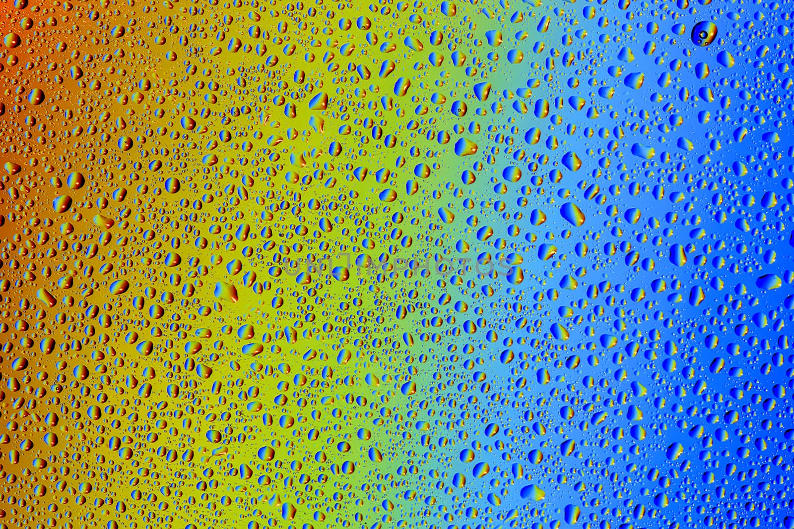 Drops of water against the background of the rainbow and with its reflection in them