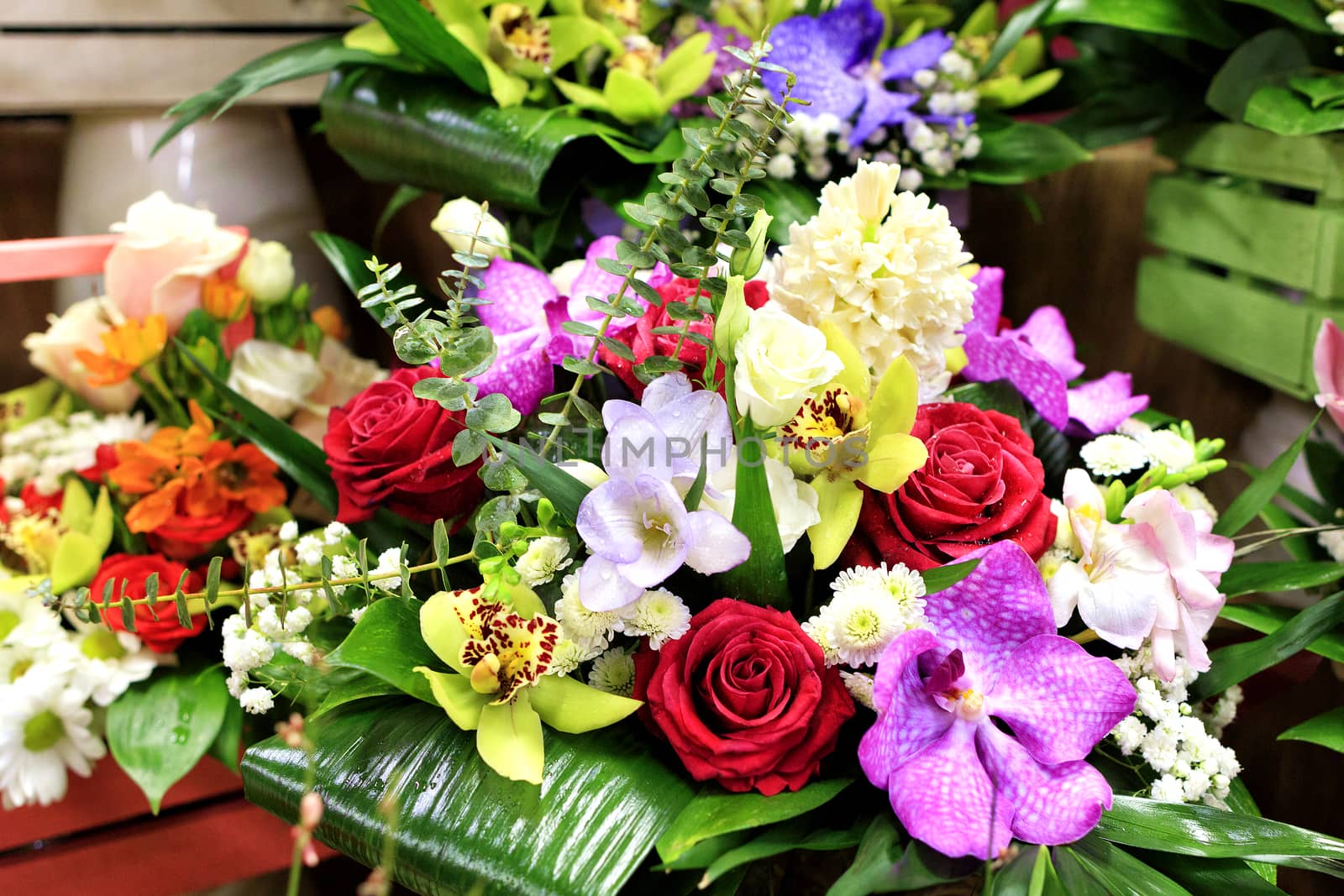 Closeup of a beautiful bouquet of fresh red, white roses and different orchids in bloom against other flowers in blur
