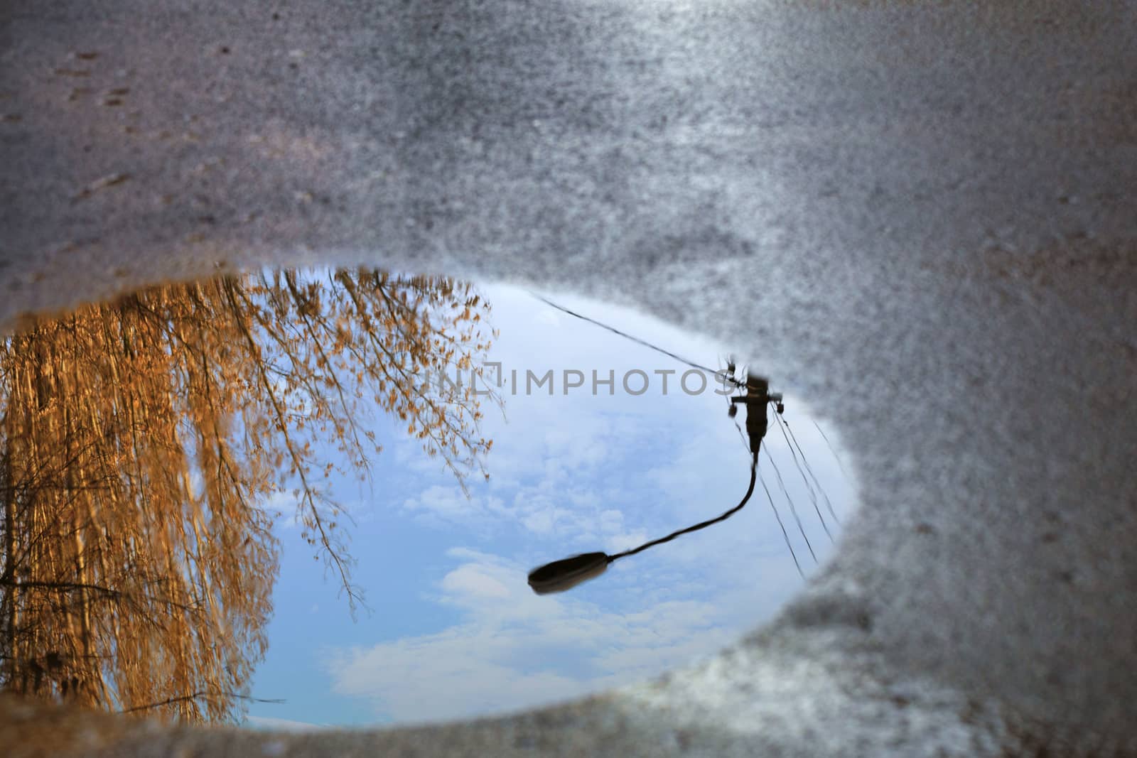 Mirror blurred reflection after a rain of the blue cloudy sky, the silhouette of a street lamp and a tree sunlit in a puddle on the asphalt.