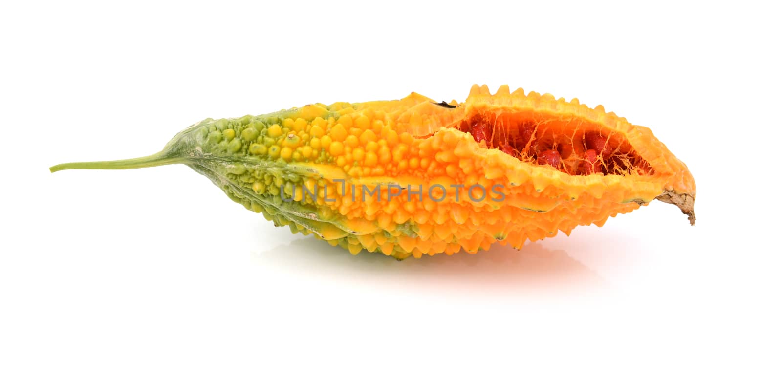 Overripe bitter gourd, with orange warty flesh, splitting open to reveal red seeds, isolated on a white background