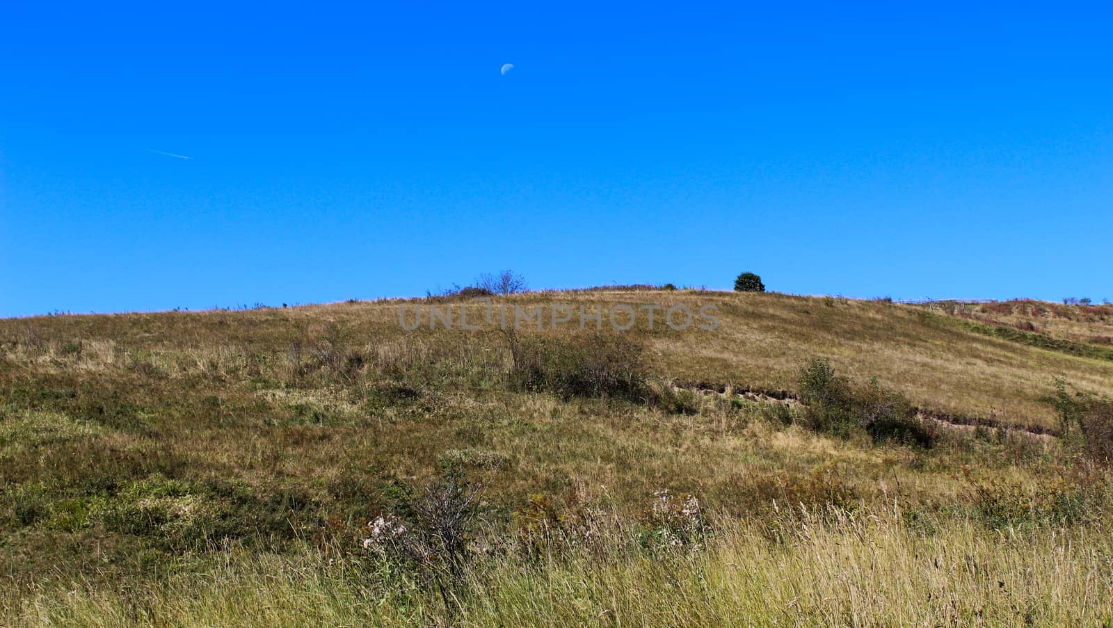 Dry grass on a meadow with the sky in the background. There is a moon in the sky in half a day. Taken on the way to the mountain Bjelašnica, Bosnia and Herzegovina.