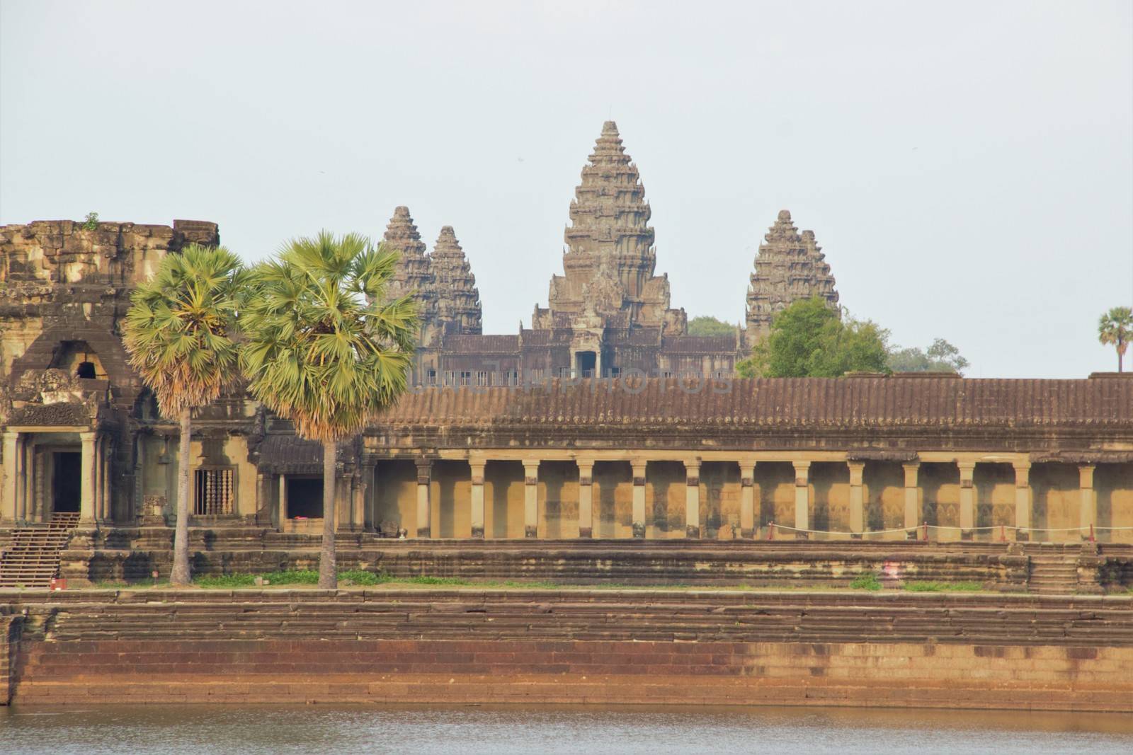 Siem reap cambodia sun set golden hour temple with trees angkor wat