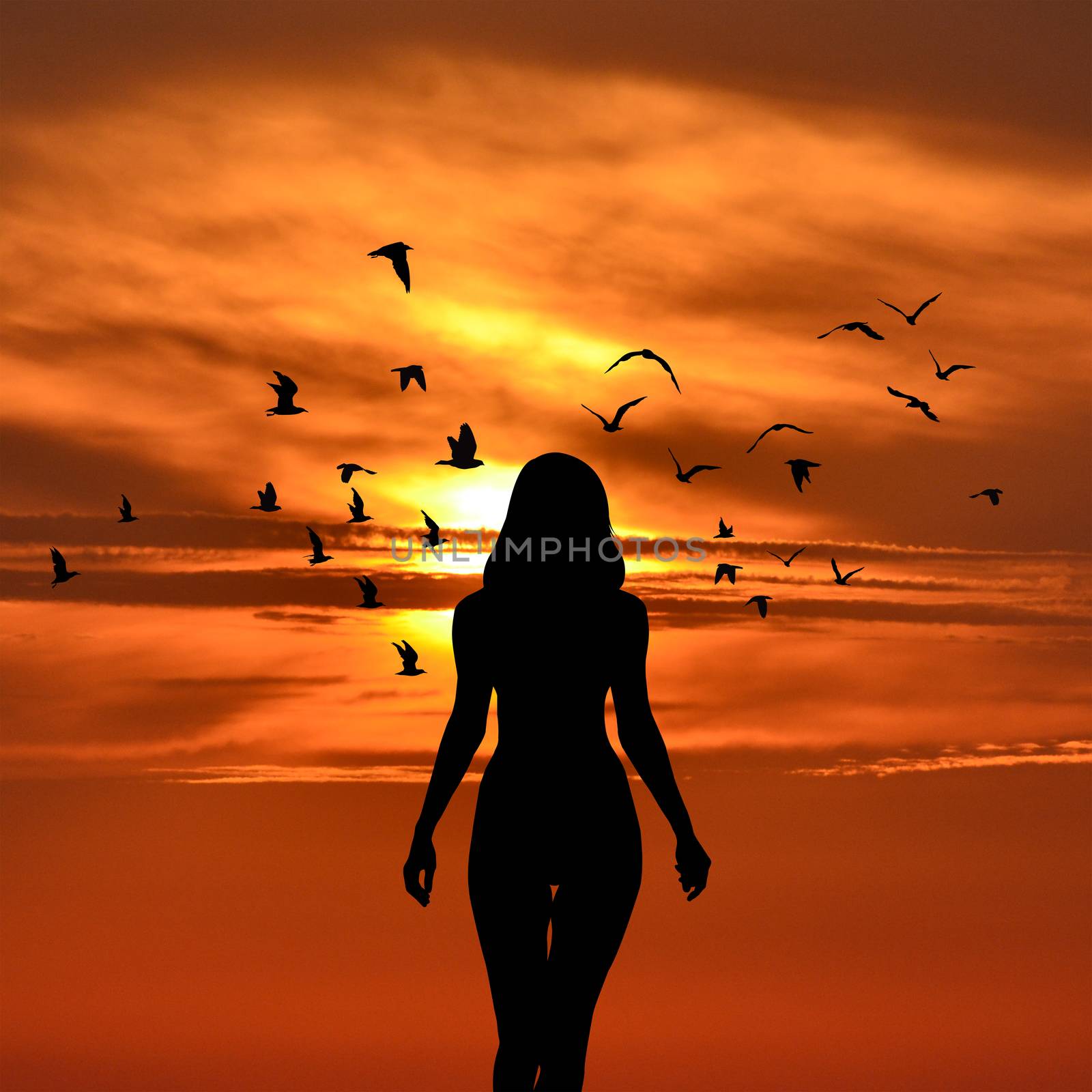 Silhouette of woman with birds flying around her on sunset by hibrida13