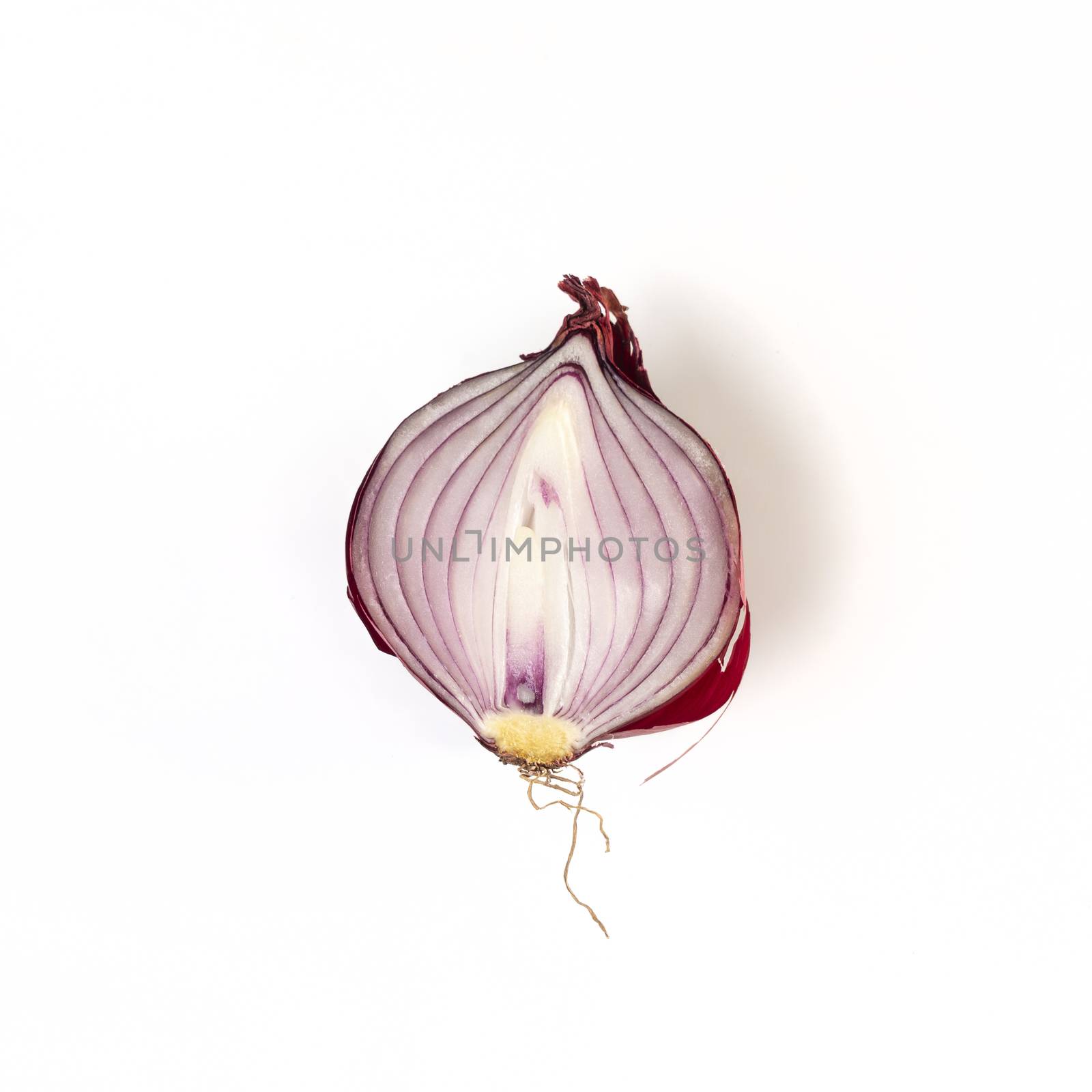 an onion cut on a white surface