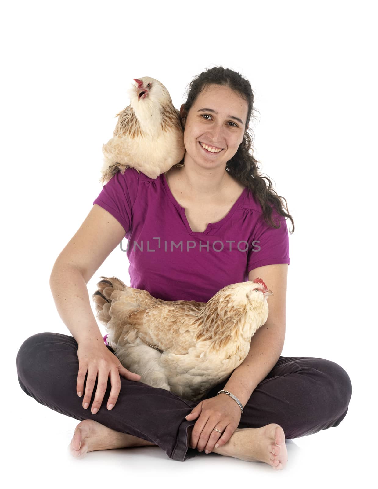 Faverolles chicken and woman in front of white background