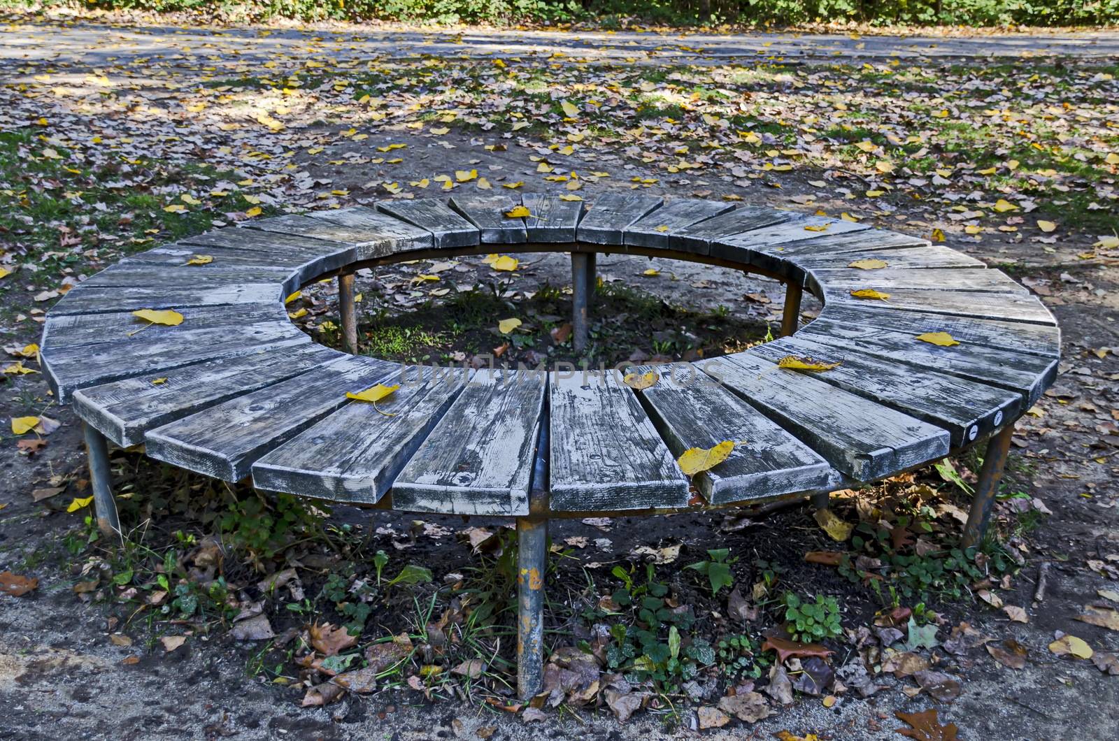 Interesting round wooden bench  near by alley in the natural South park, Sofia, Bulgaria