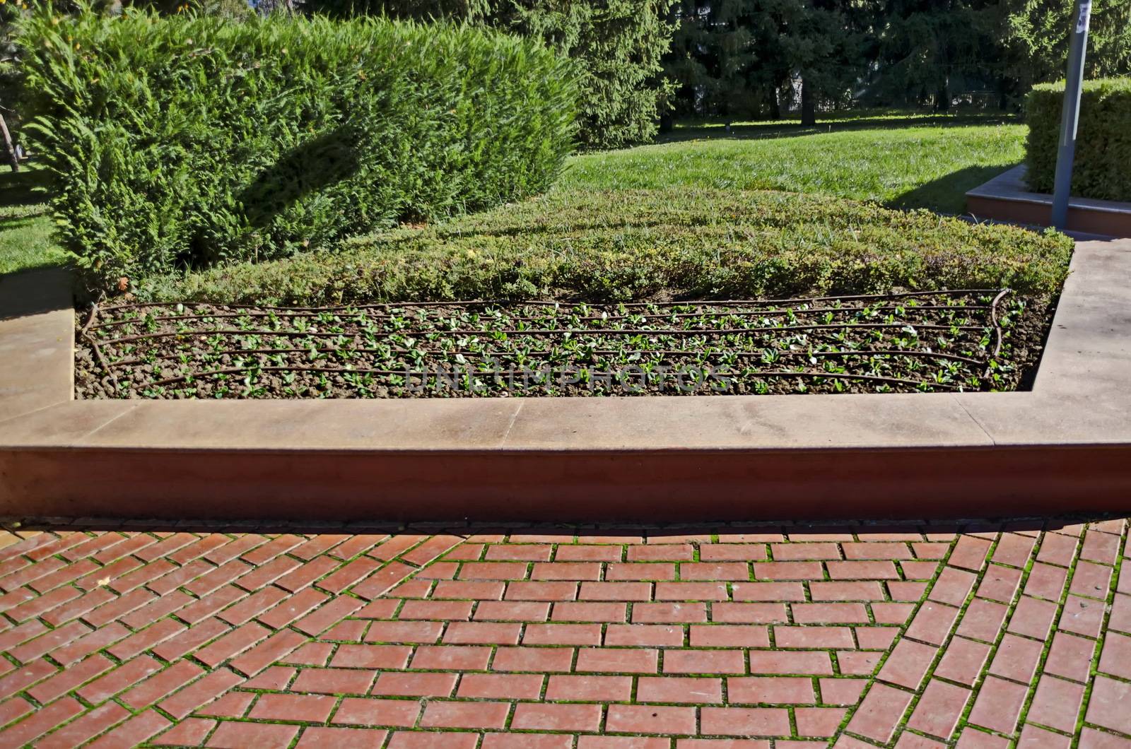 View of technology with drip irrigation system  a flower garden, South Park, Sofia, Bulgaria