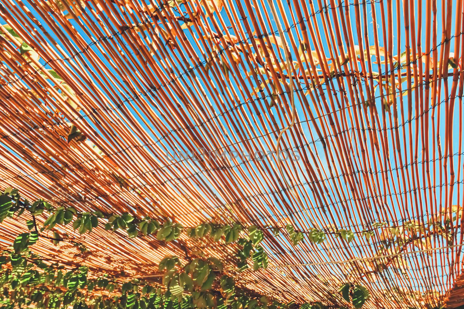 Wooden roof on the beach, nature and design