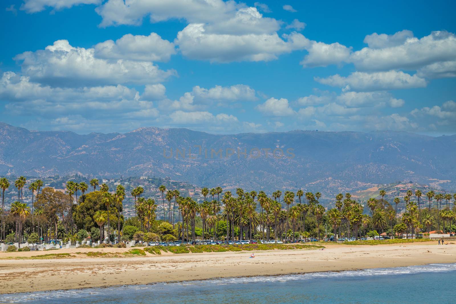 Beach Palms and Mountains in Santa Barbara California