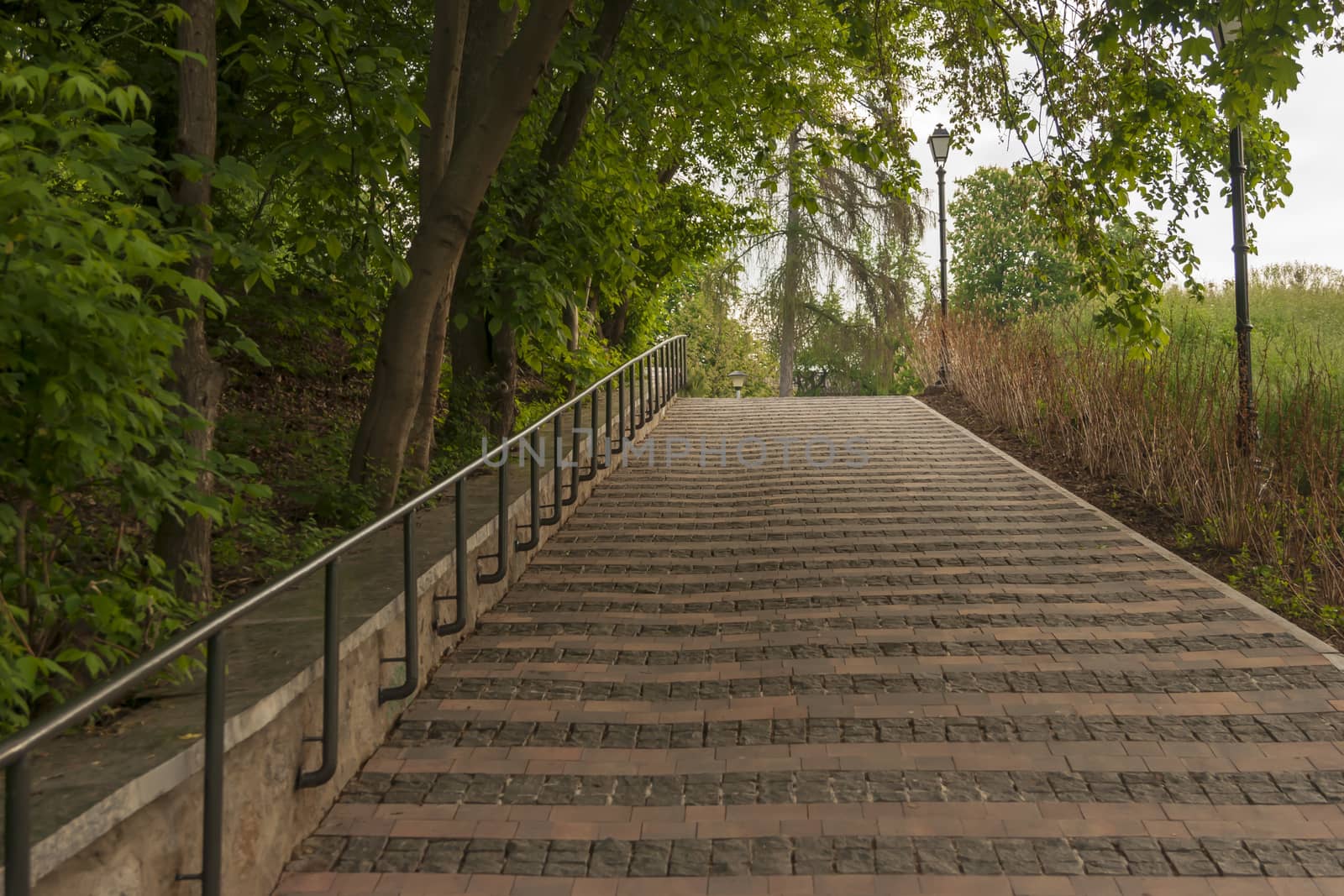 Park alley, railing and trees on a cloudy May morning