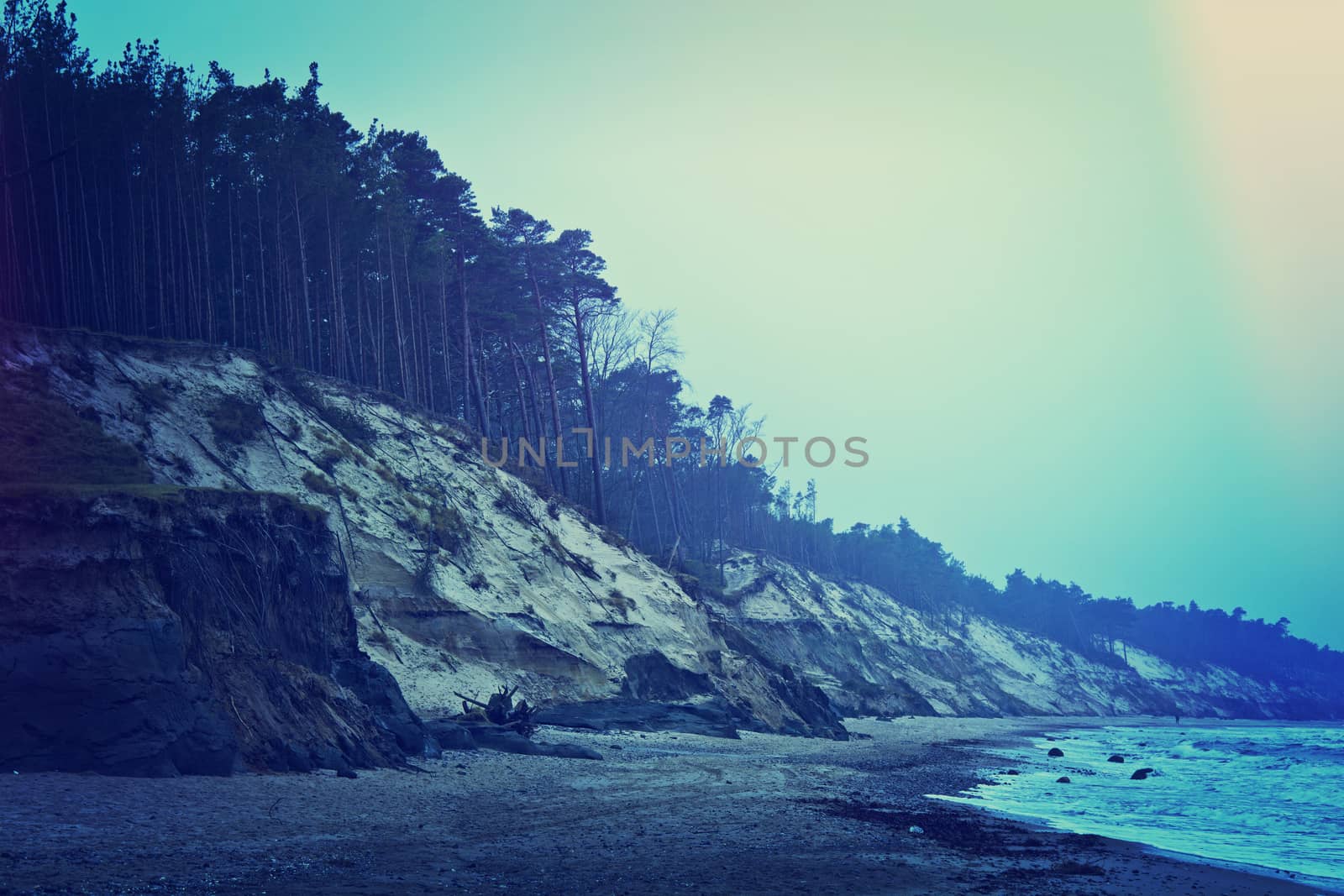 Sea cliff and forest. Dark cold winter over coast.