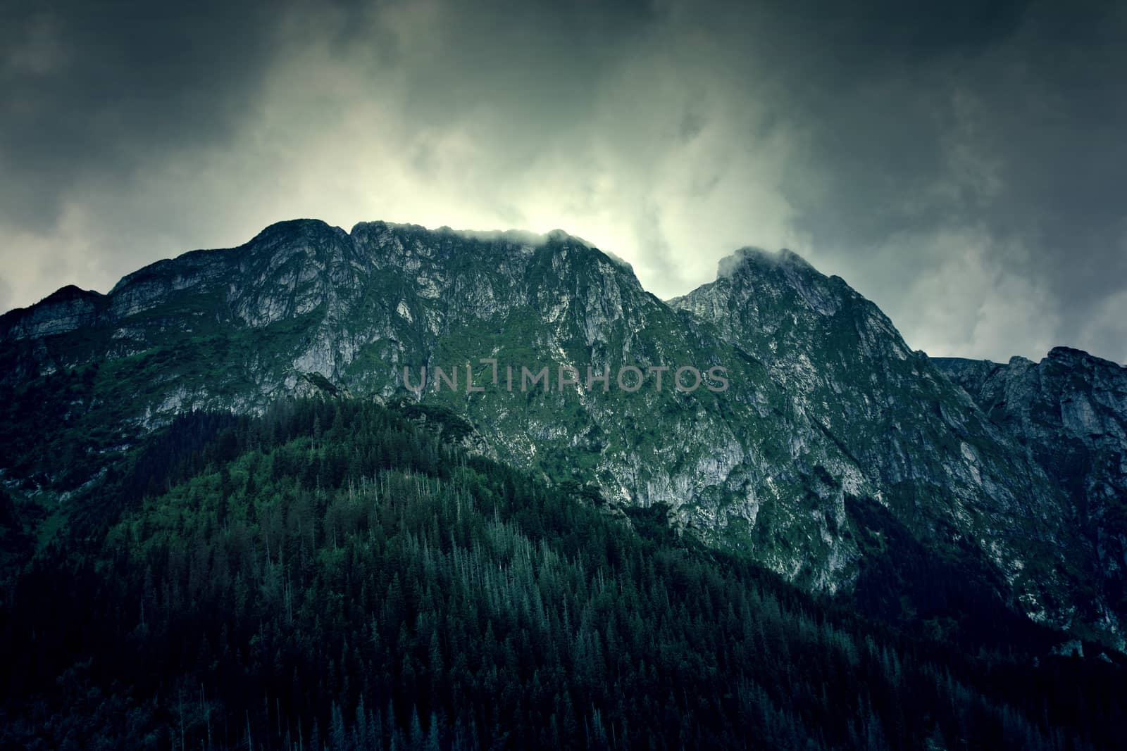 Fog in mountains. Fantasy dark nature landscape. Nature conceptual image. Giewont Mountain.