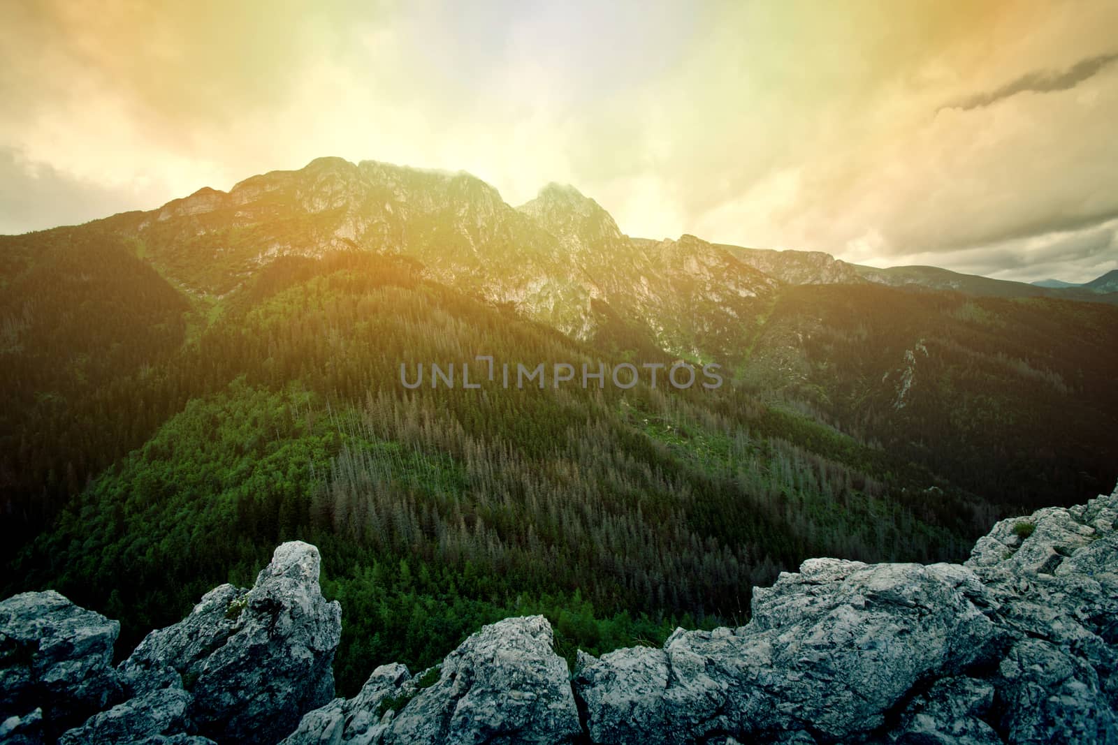 Fog in mountains. Fantasy and colorfull nature landscape. Nature conceptual image. Giewont Mountain.