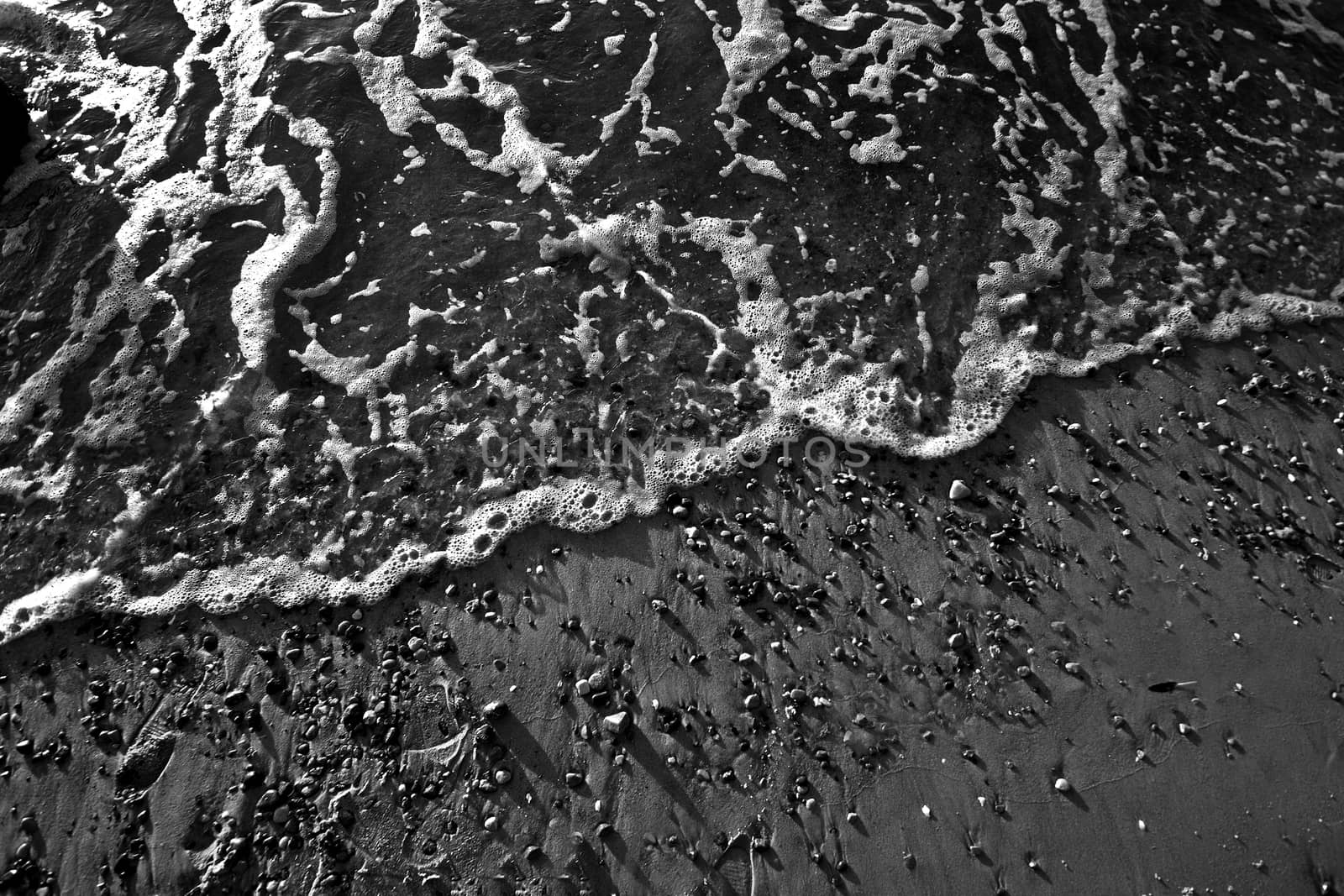 Sea ocean waves in black and white colors.