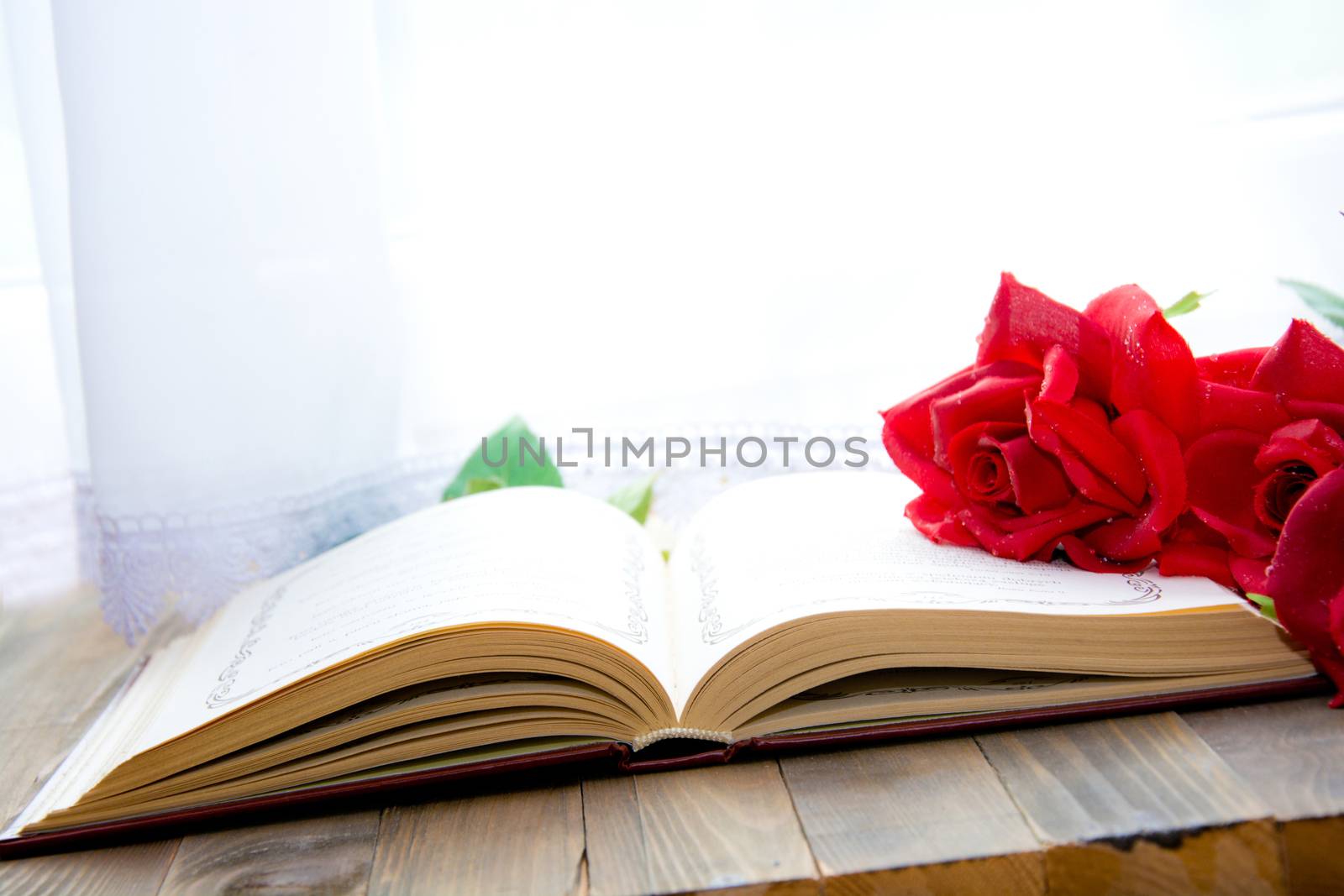 Open book on table. by satariel
