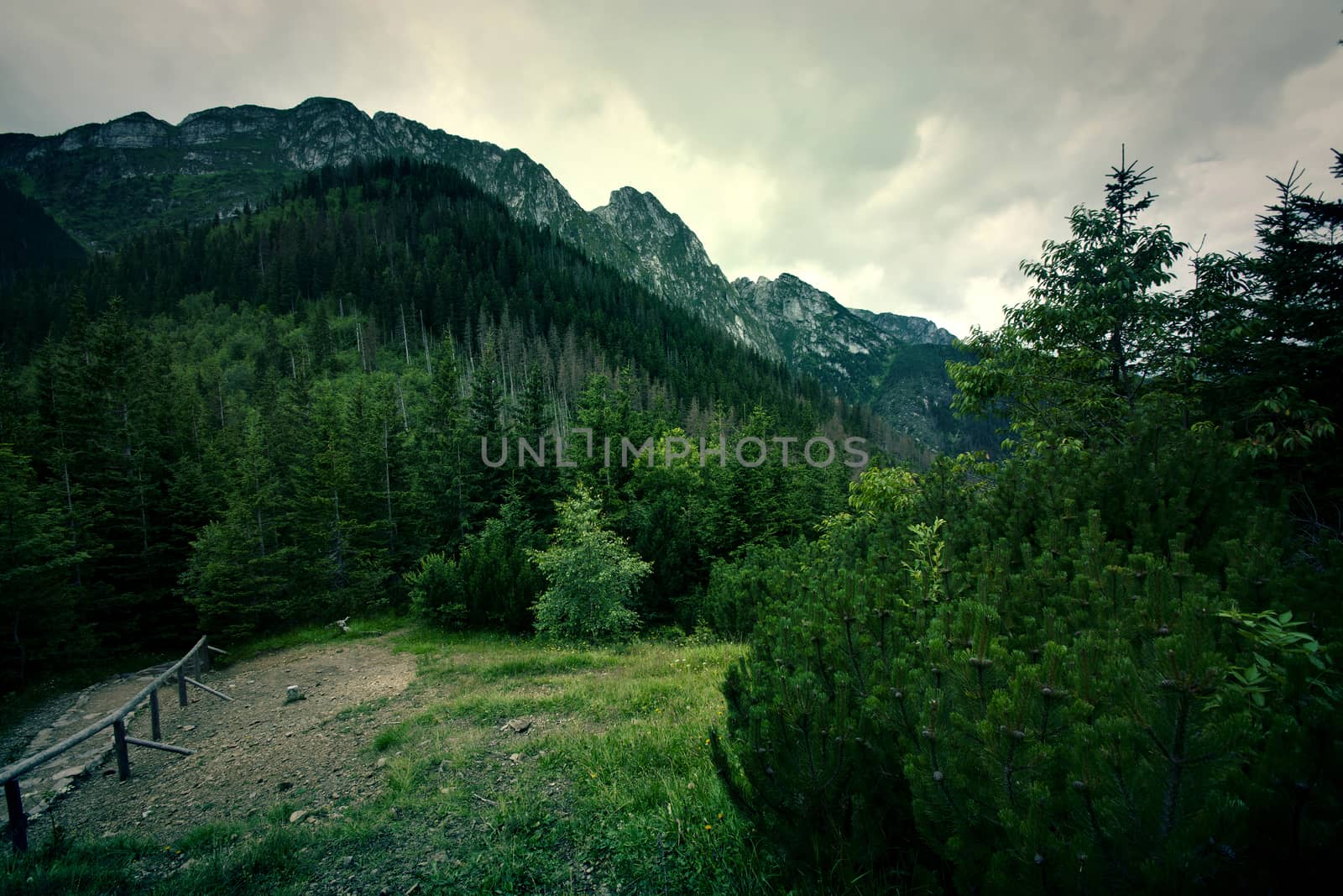 Mountains Landscape. Giewont mountains in Tatry, Poland. Nature in wilderness.