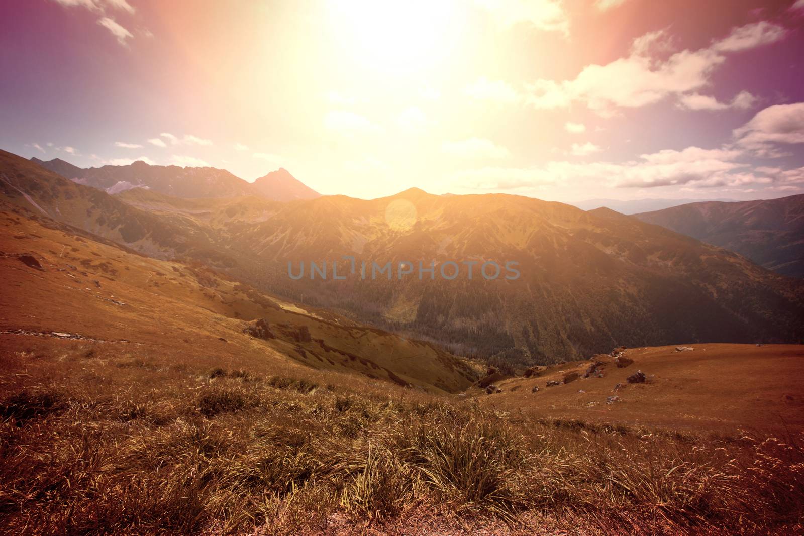 Mountains Landscape. Bright summer sun in mountains.