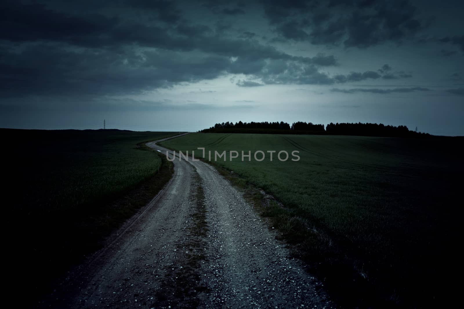 Dark dirt road at night. Field and sky.