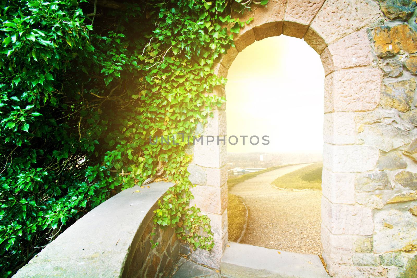 Door to a new world. Old doorway leading to a better world. New life concept.