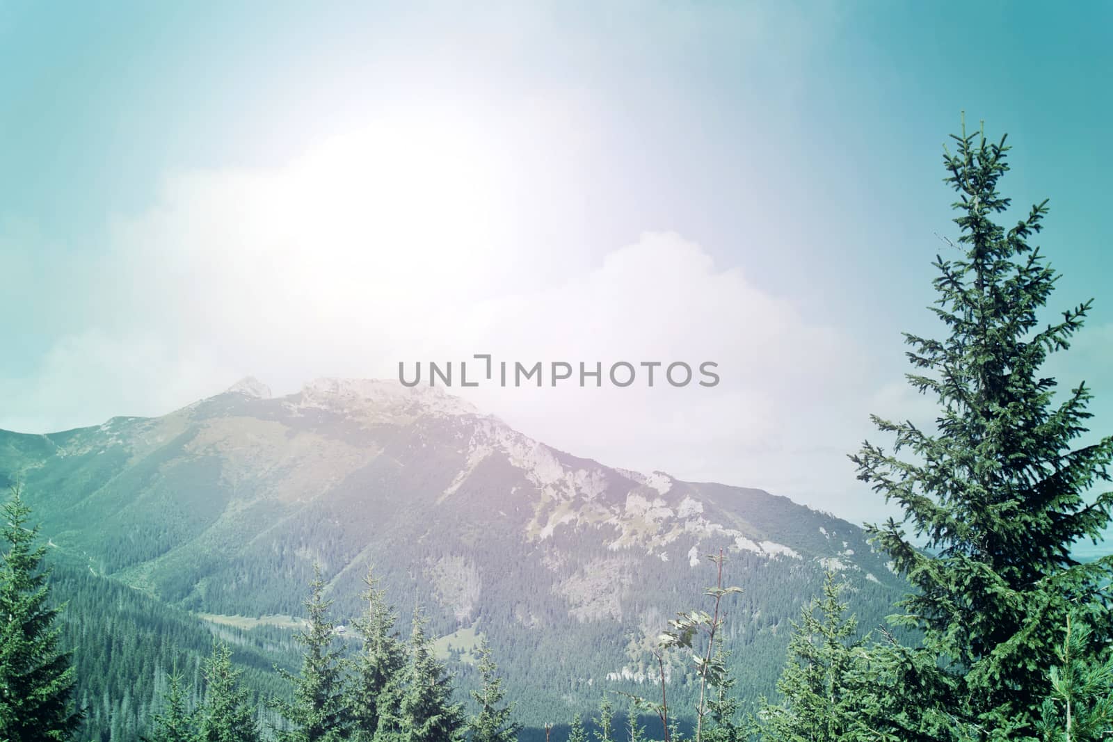 Sunny mountains landscape at summer. Nature concept.