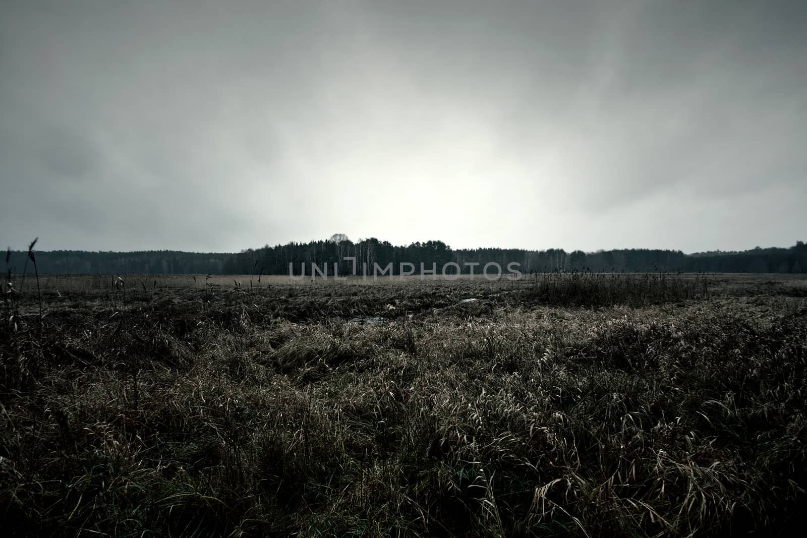 Dark autumn field with dramatic cloudy sky. Nature.