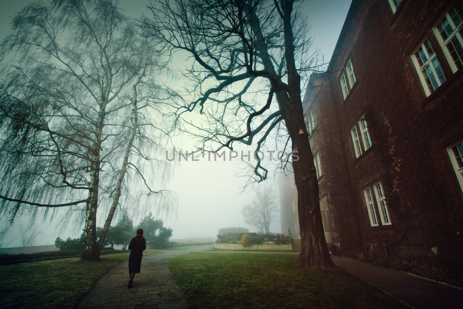 Lonely woman in the foggy park. by satariel