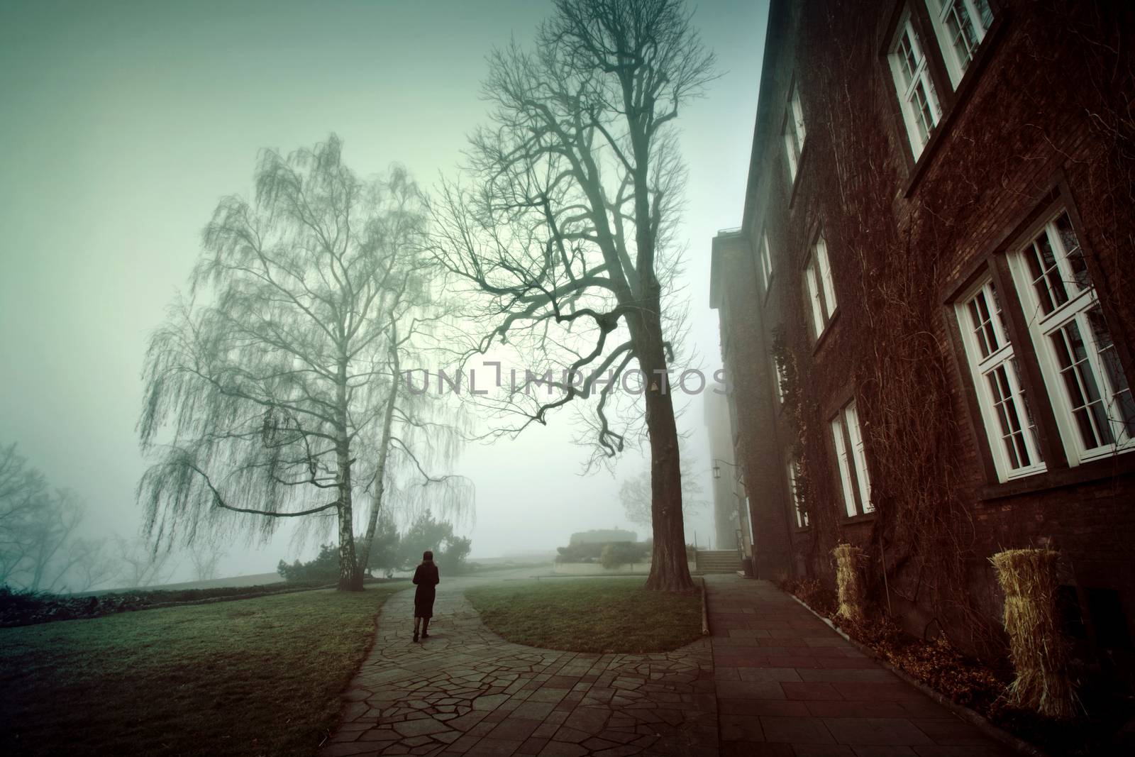 Lonely woman walking in the foggy park in the morning. Fog in the park.