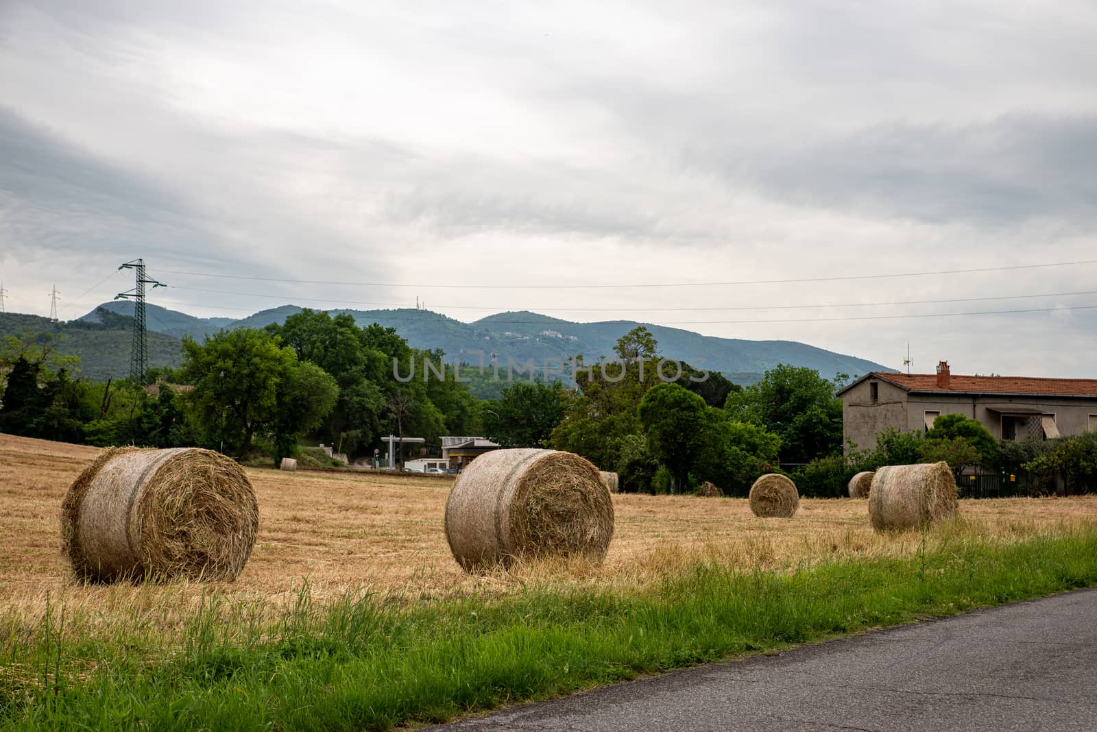 BALES OF HAY IN A FIELD IN TERNI