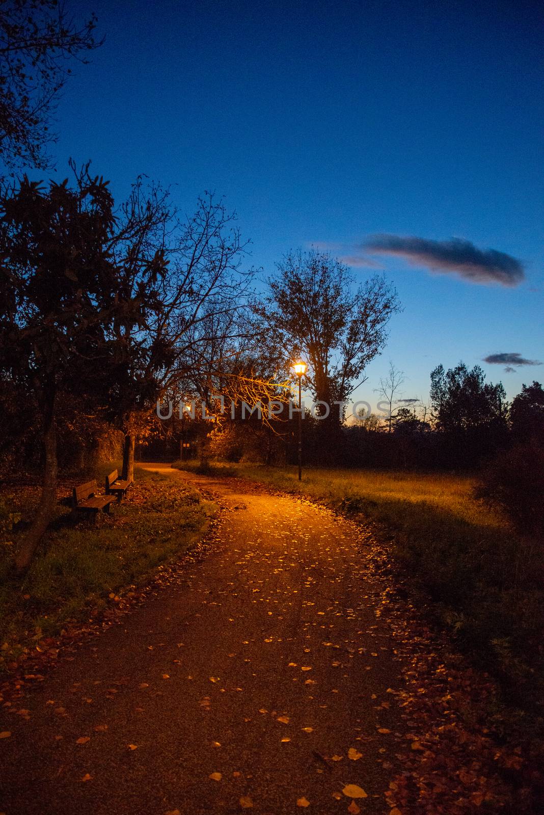 PARK OF VIALE TRENTO TERNI NOTTURNA by carfedeph