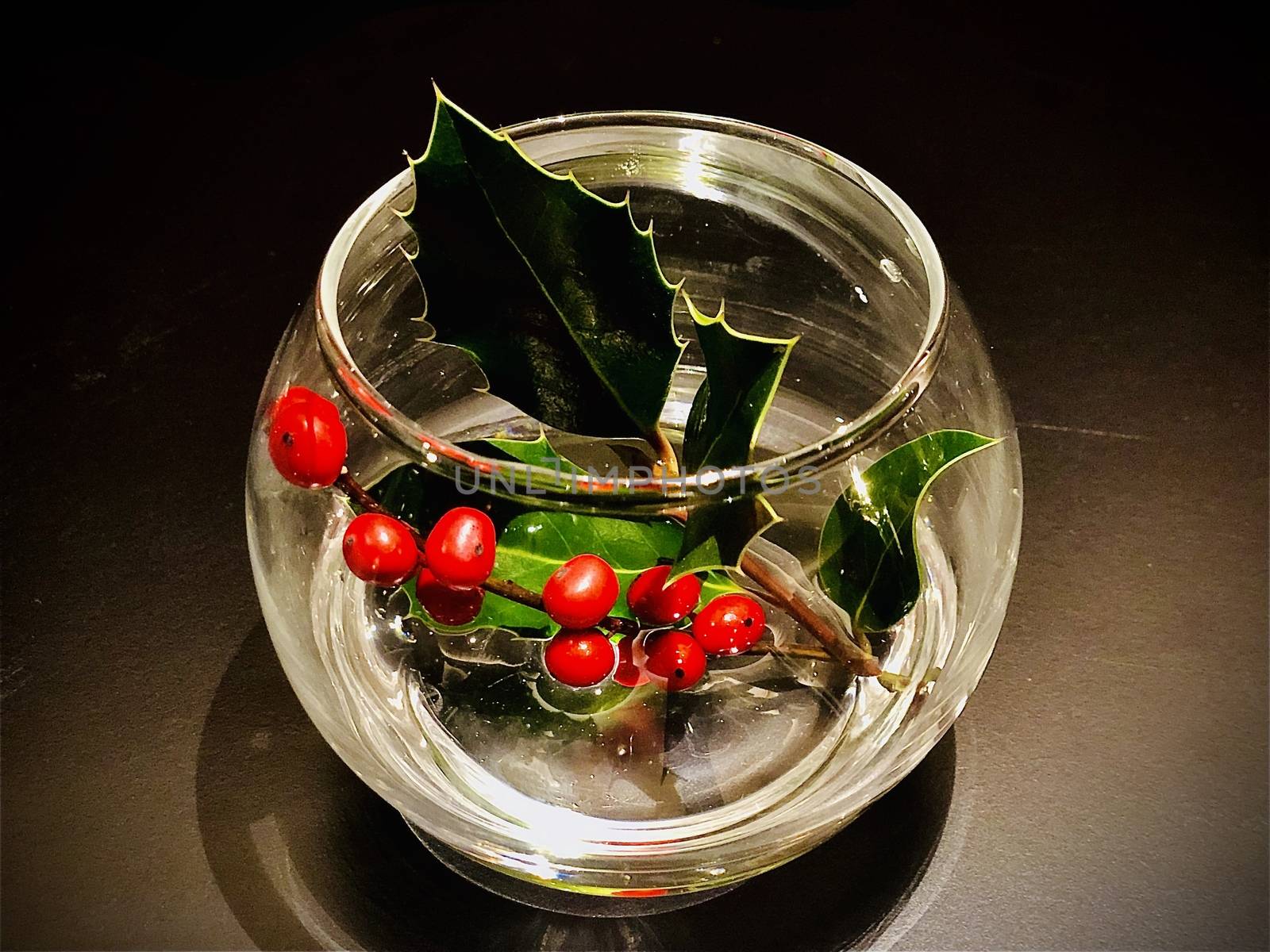 Mistletoe in a glass isolated on black. Holiday Season Christmas concept