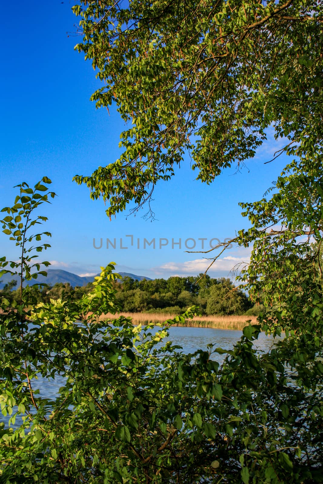 river coming from the AIA Narni dam