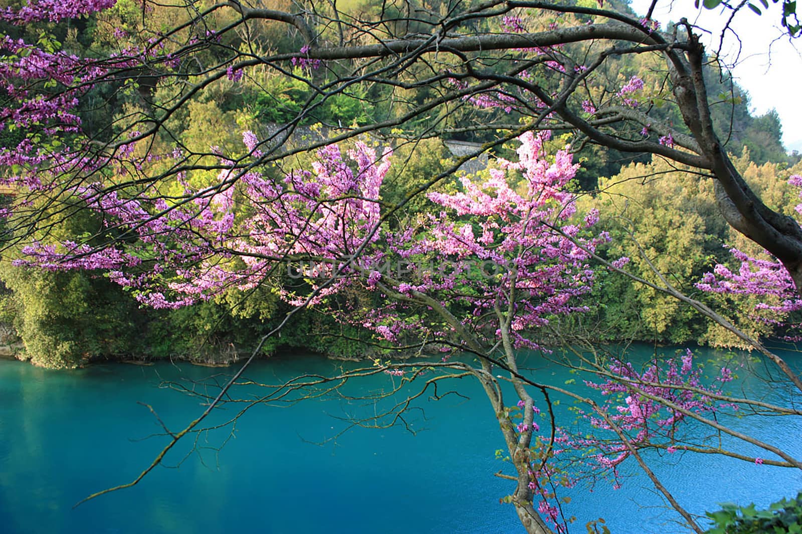 colors of nature by carfedeph