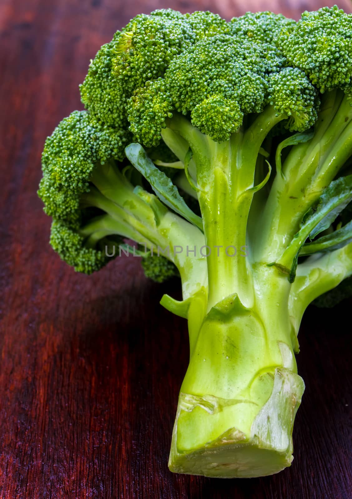 Close up to surface texture of freshness Broccoli vegetable