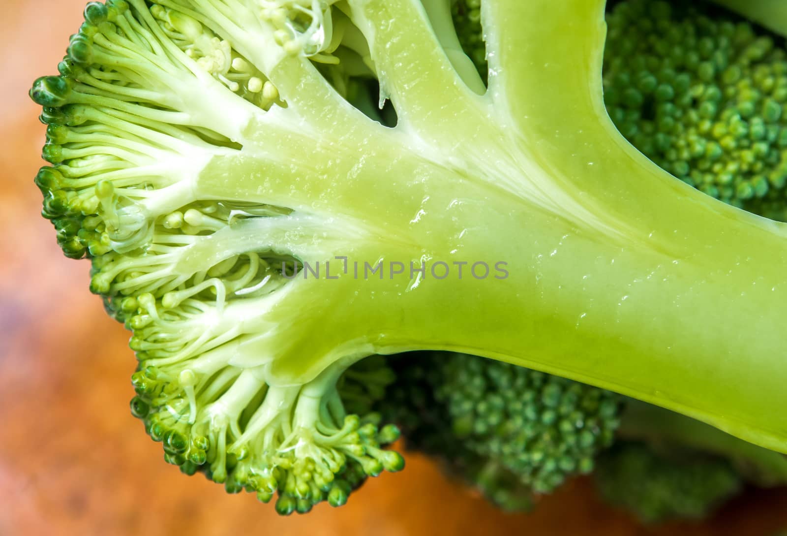 Detail of the succulent fresh inside the Broccoli by Satakorn