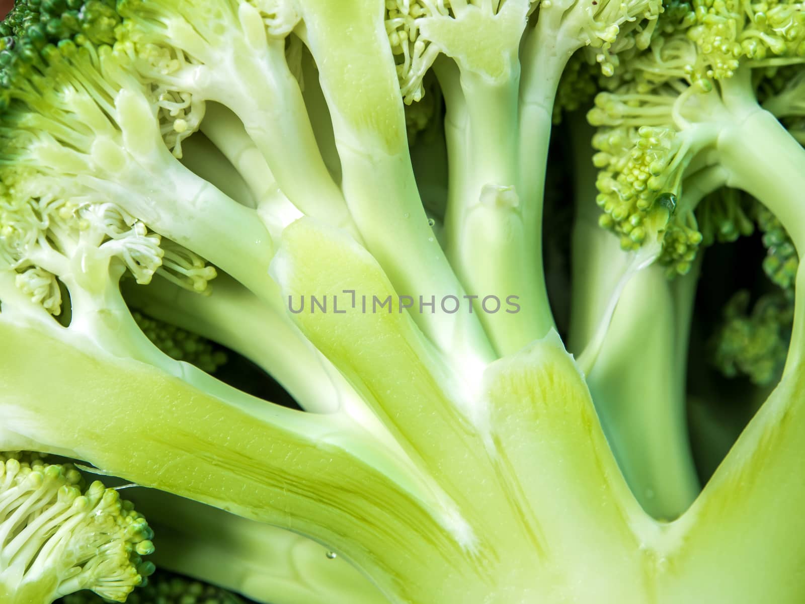 Close up to surface texture of succulent fresh inside the Broccoli vegetable