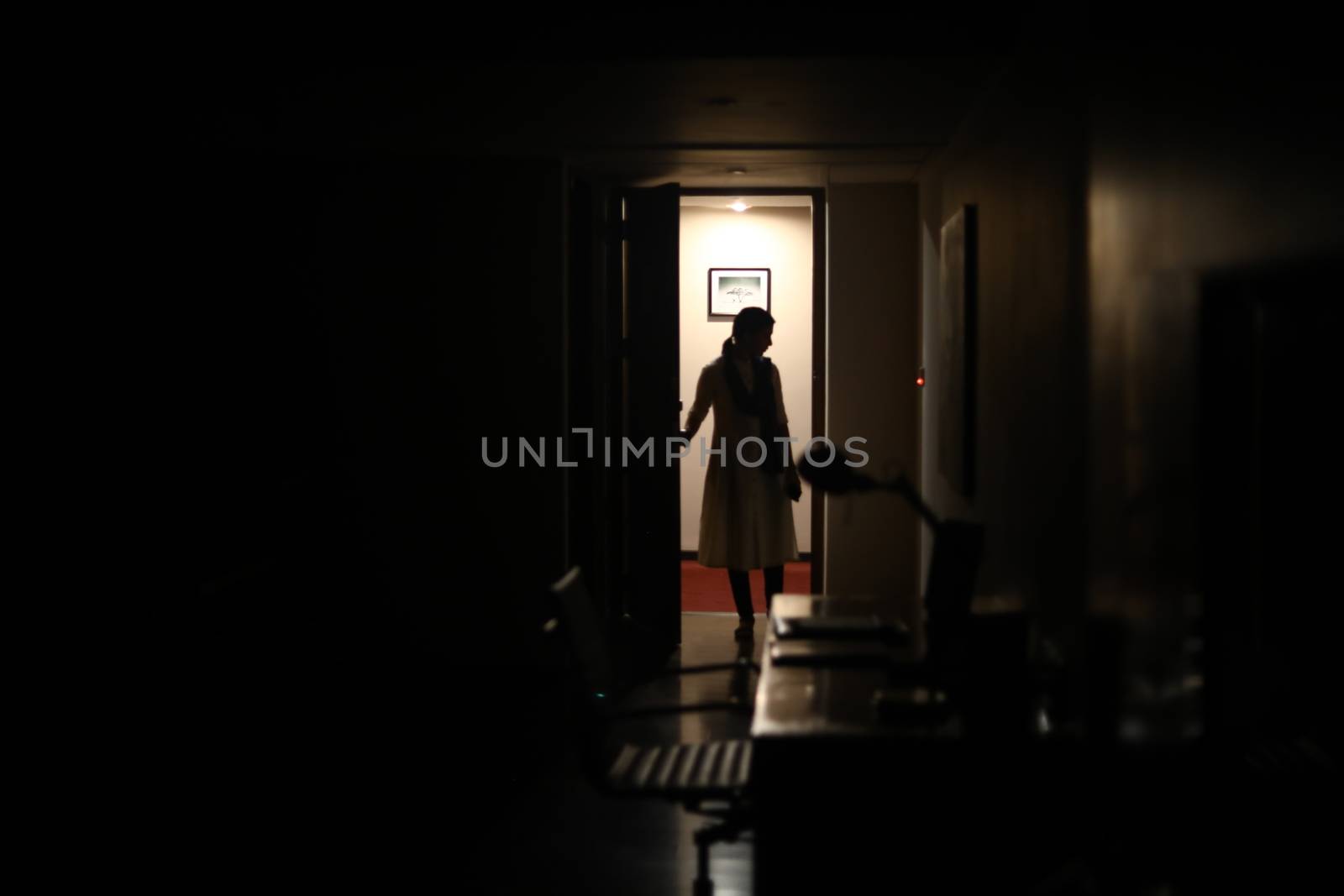 Silhouette of a Female model