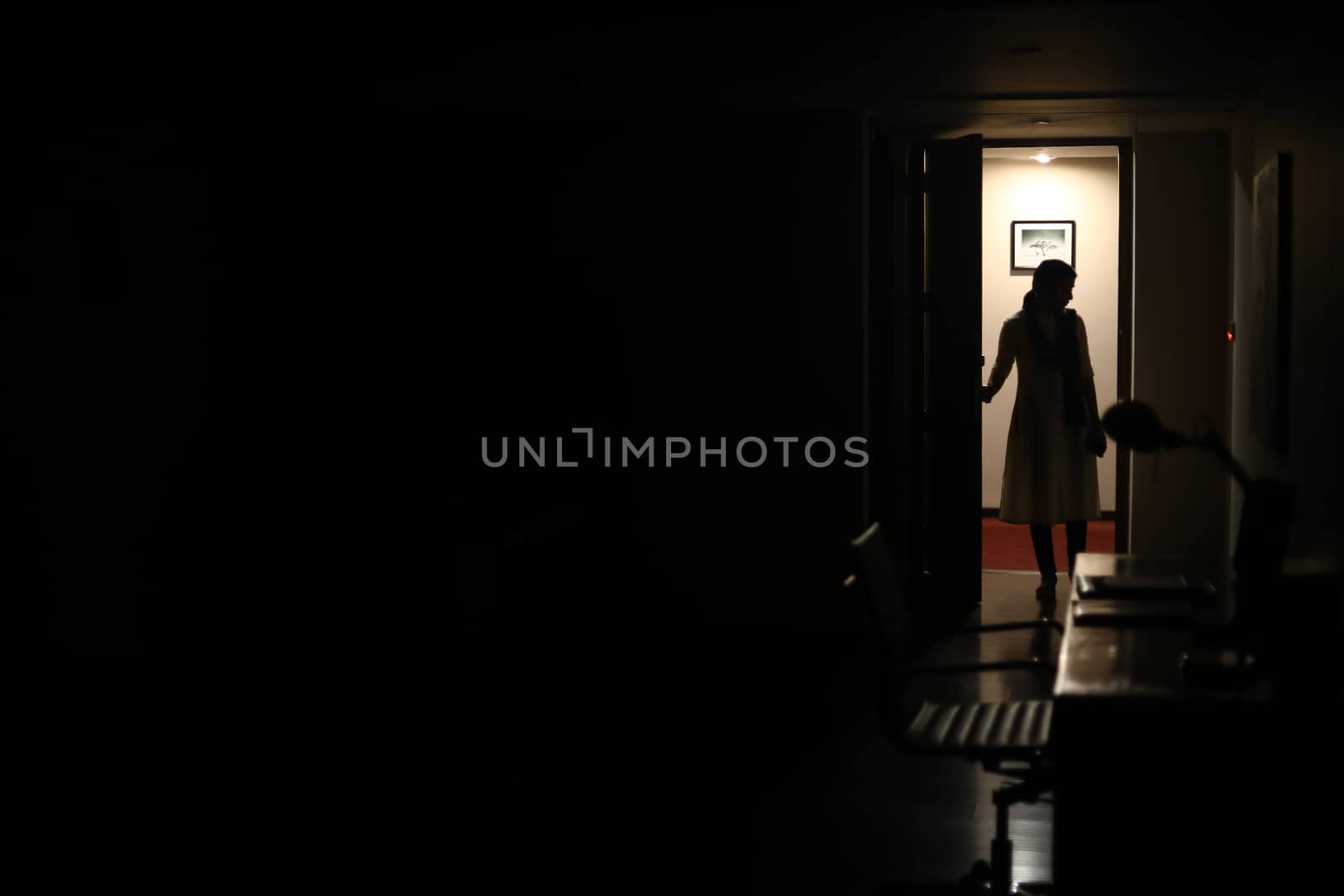 Silhouette of a Female model