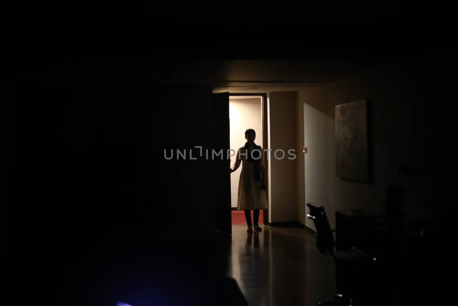 Silhouette of a Female model at door