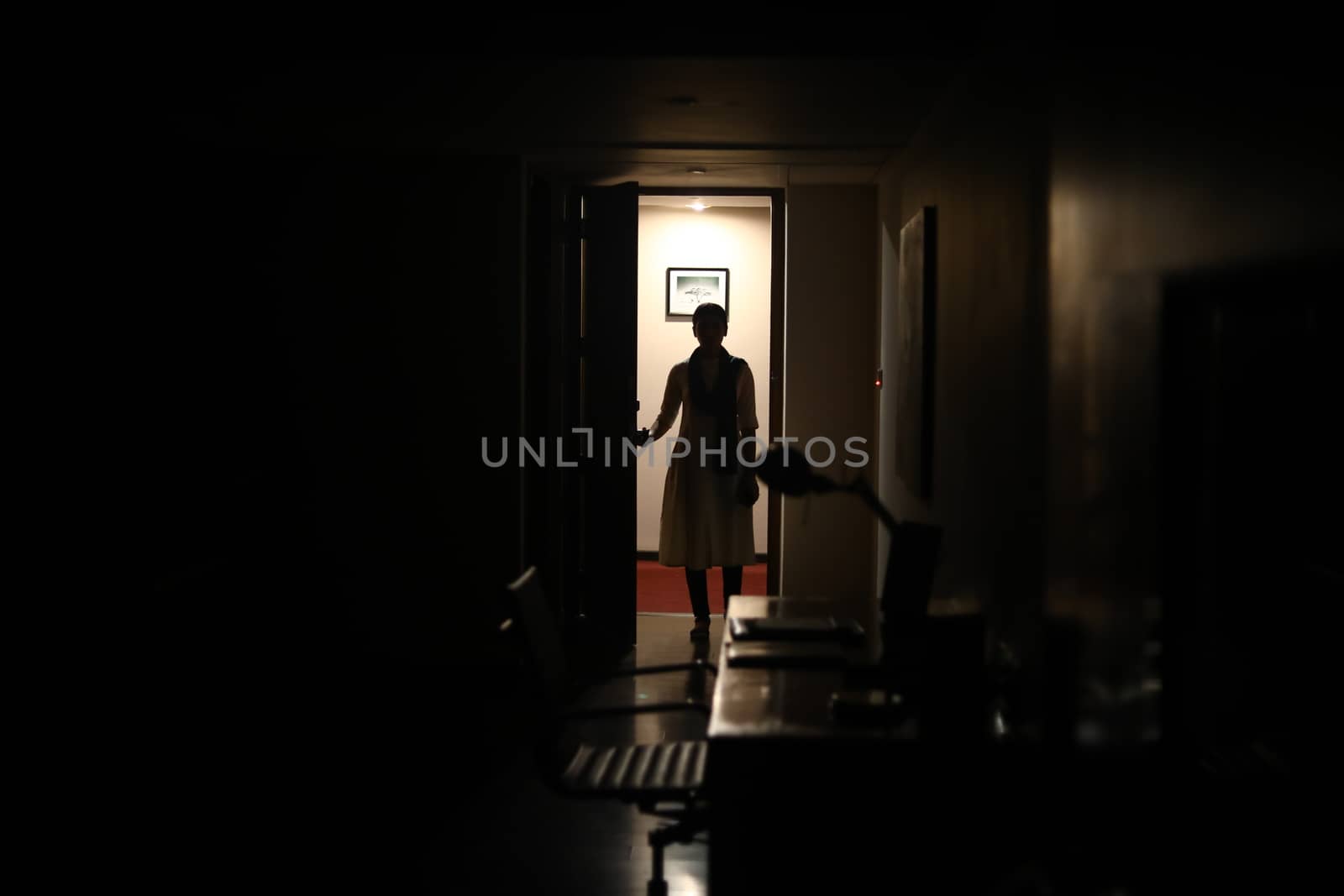 Silhouette of a Female model at door