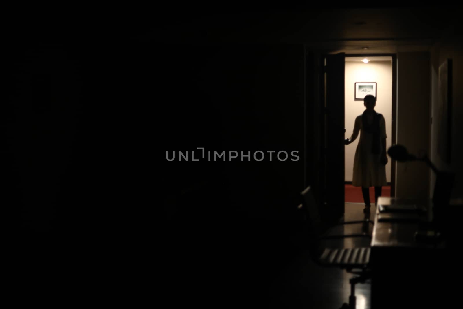 Silhouette of a Female model at door