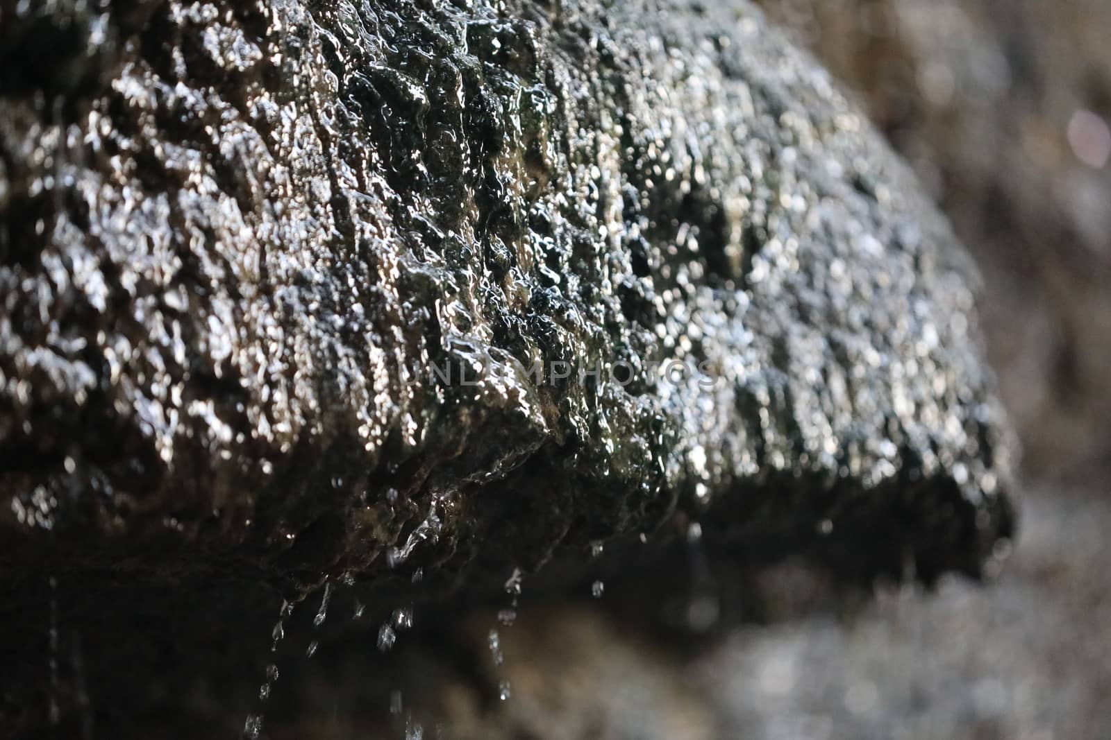 Raw stone Texture