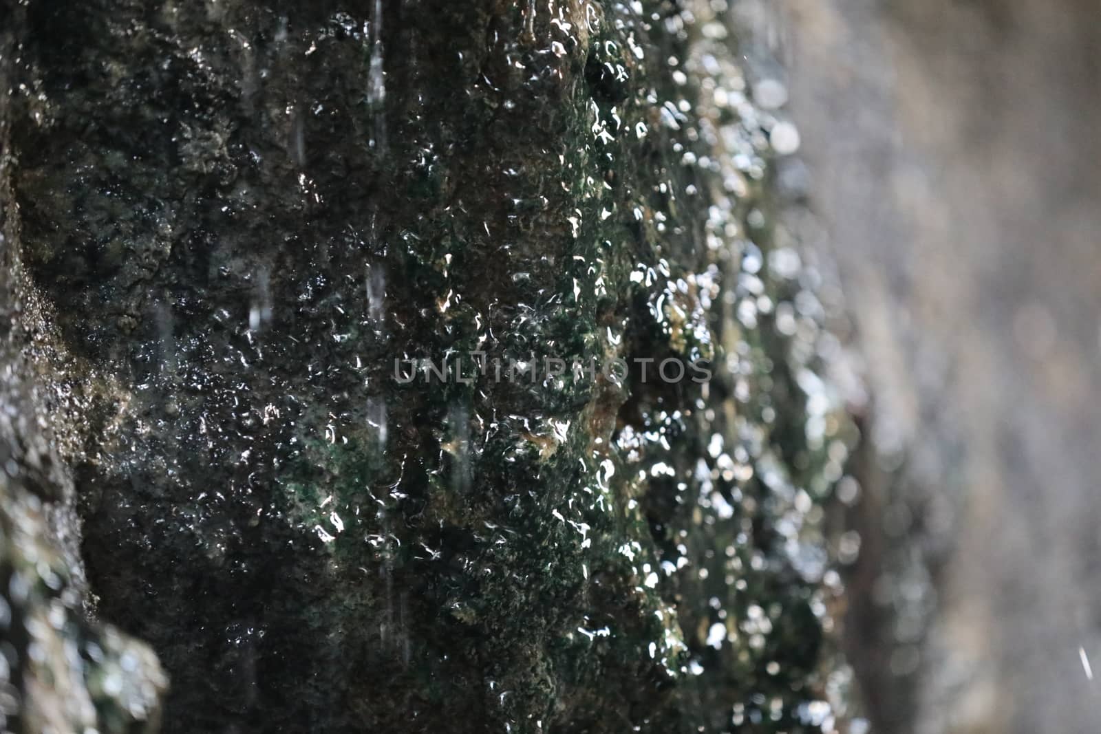 Raw stone Texture