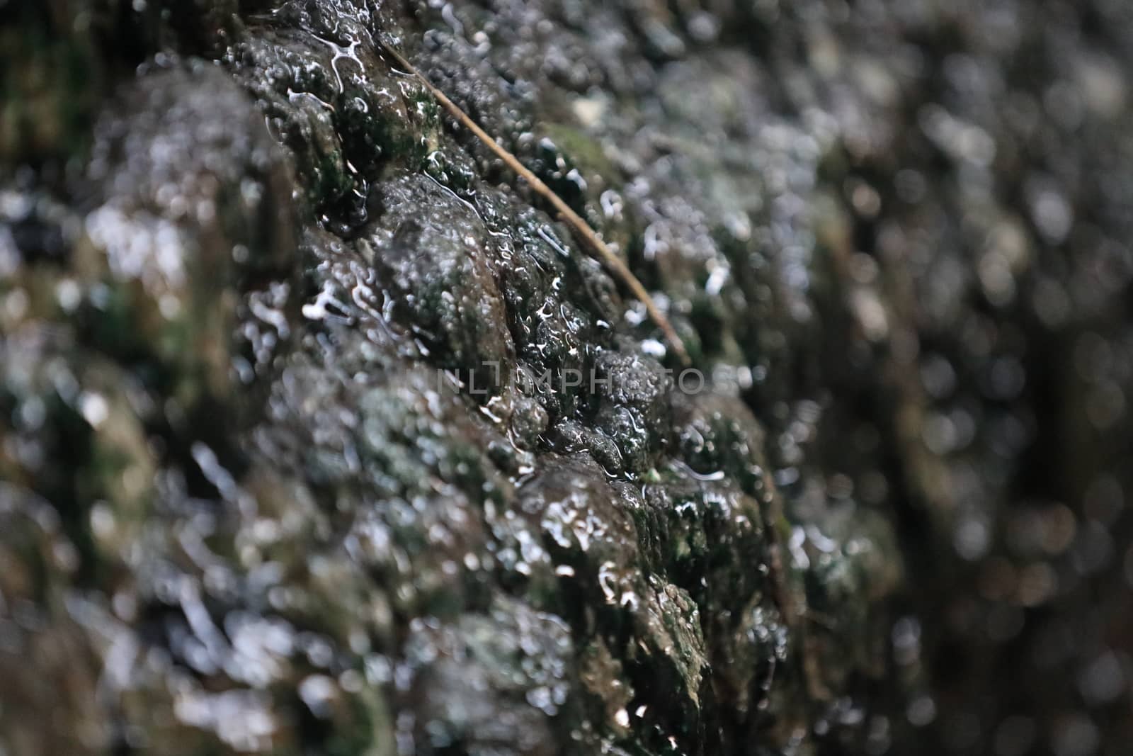 Raw stone Texture