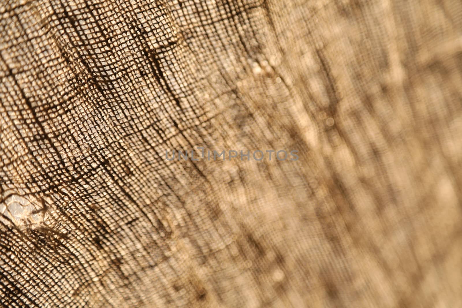 Abstract Cloth Texture